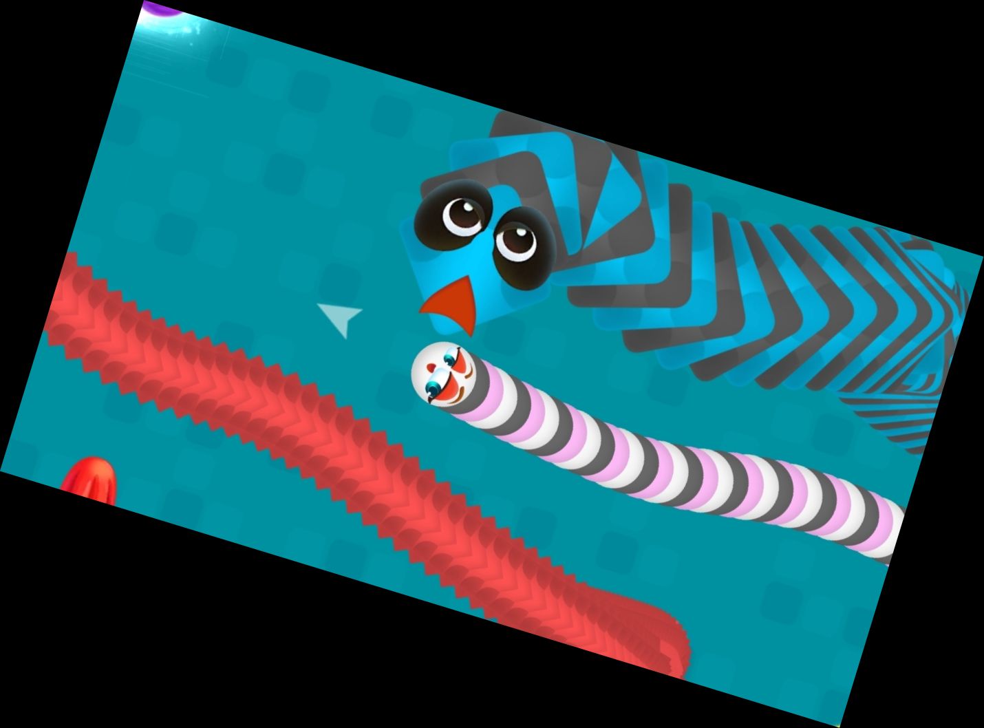 Würmer Dash.io - Schlangenzone