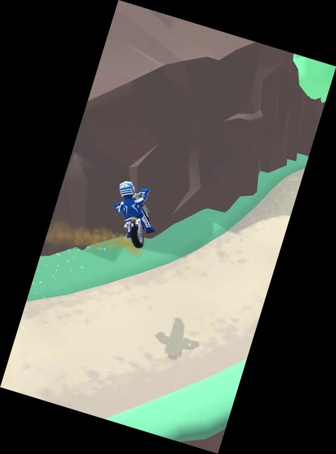 Флеттрек-рейс