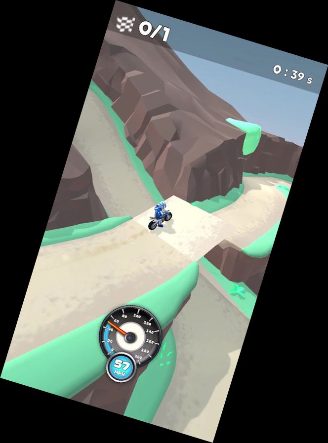 Флеттрек-рейс