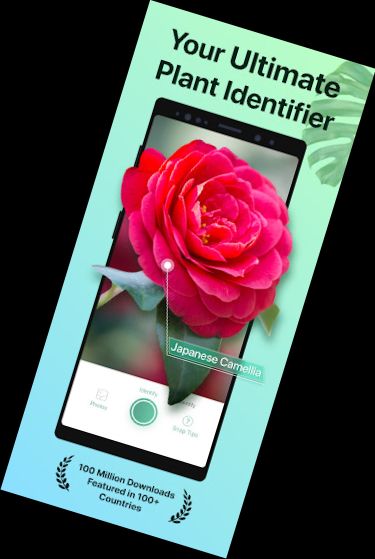 PictureThis - Identificador de Plantas