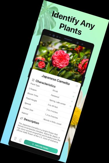 PictureThis - Plant Identifier