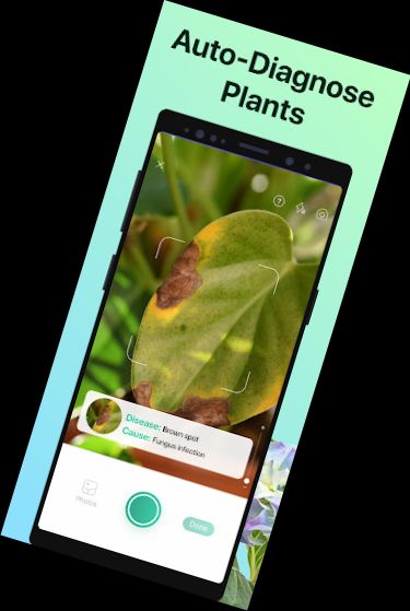 PictureThis - Identificador de Plantas