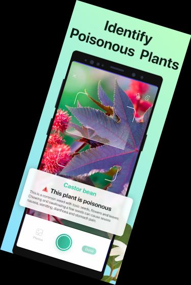 PictureThis - Plant Identifier