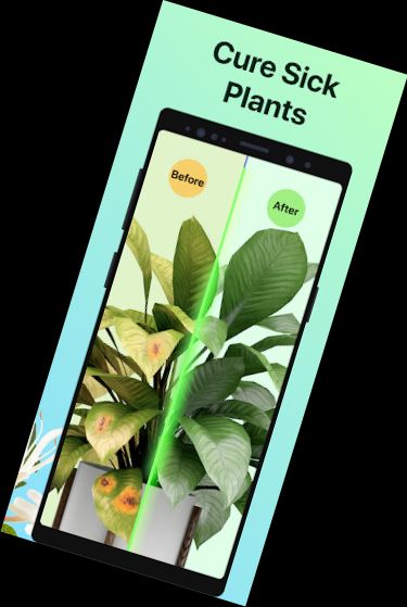 PictureThis - Plant Identifier