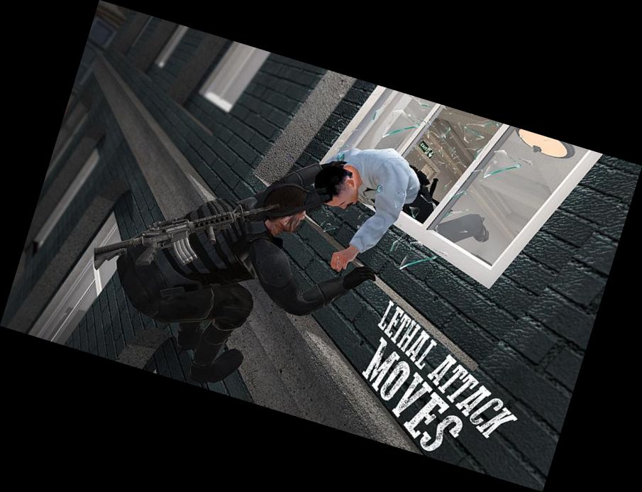 Spionagediebstahl Waffenschieß