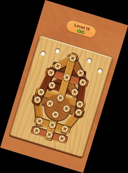 Wood Screw Puzzle