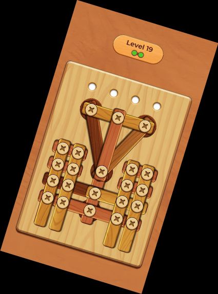 Wood Screw Puzzle