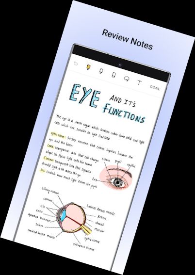 Noteshelf - Notes, Annotations