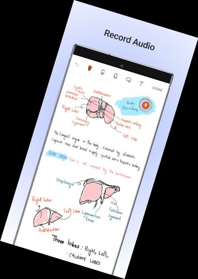 Noteshelf - Notas, Anotaciones