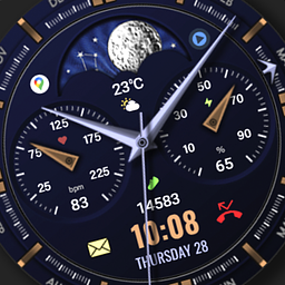 WFP 309 Elegant watch face