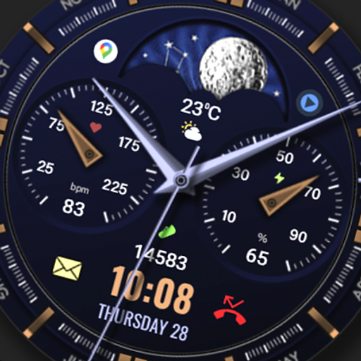 WFP 309 Elegant watch face