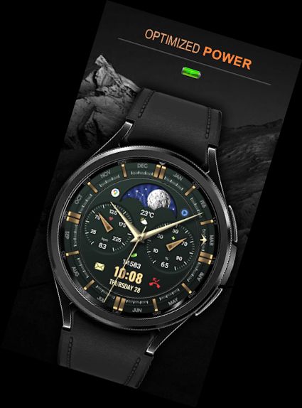 WFP 309 Cara elegante de reloj