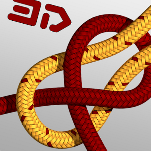 Knots 3D