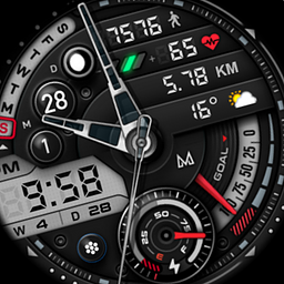 MD242 Hybrid watch face