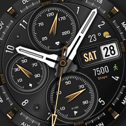 WFP 308 Business watch face