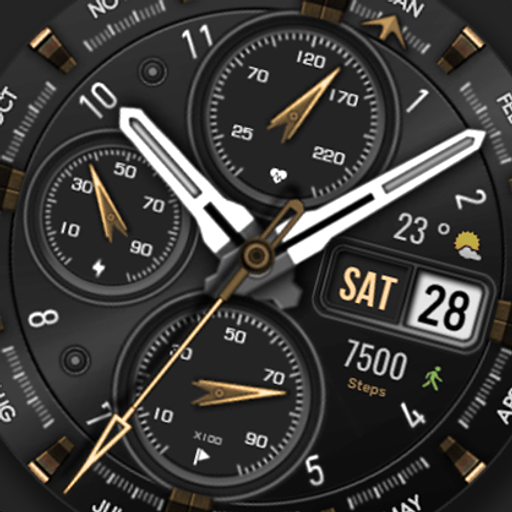 WFP 308 Business watch face