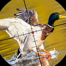 Полювання на птахів Снайперський