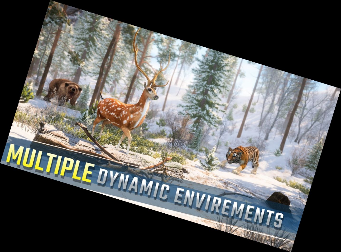 Справжня Дика Снайперська Стрі