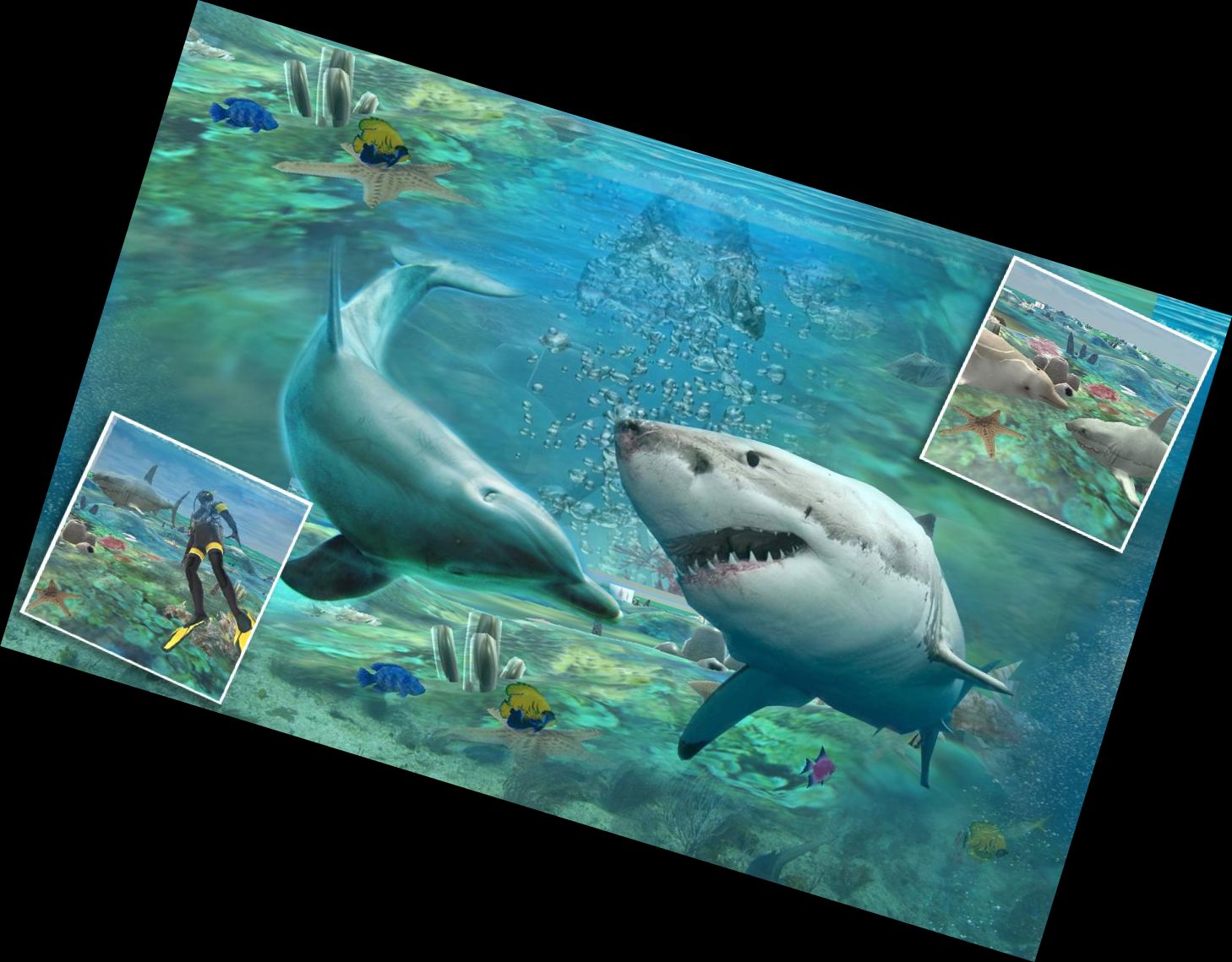 Shark Attack Spear Fishing 3D