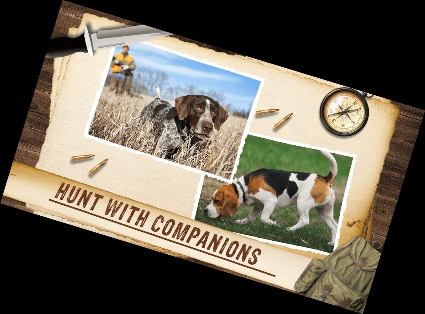 Симулятор Охоты на Диких Ж