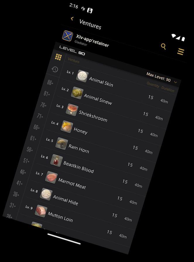 FINAL FANTASY XIV Begleiter