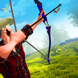 3D Archery Bird Hunting Simulator