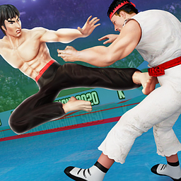 Каратист: Бійцівські Іг