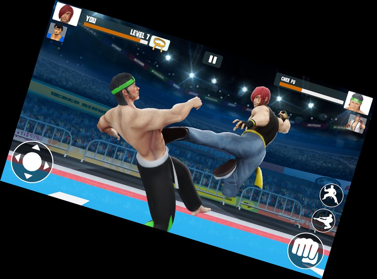 Каратист: Бійцівські Іг