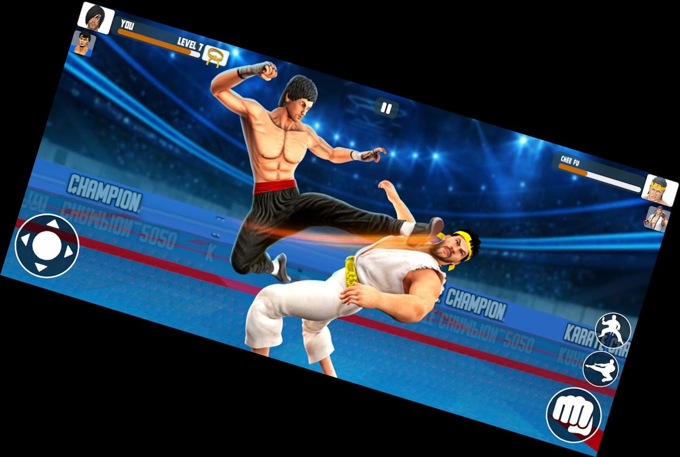 Каратист: Бойцовские Игры