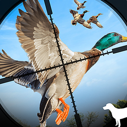 Wild Duck Hunting Simulator