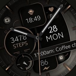 Dream 132 bronze watch face