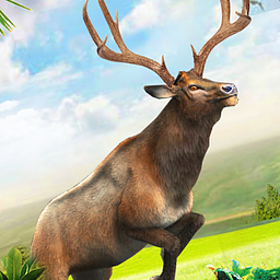 Wild Deer Hunter: Shooting Games