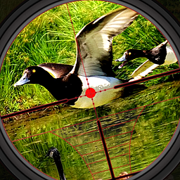 Duck Hunting Wild Shooting Simulator