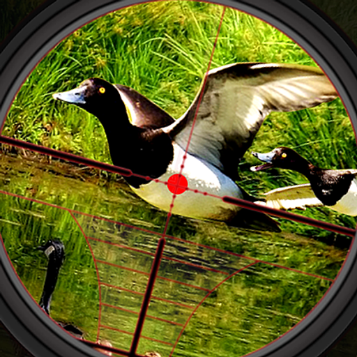 Duck Hunting Wild Shooting Simulator