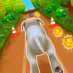 Бег питомца - Игра с