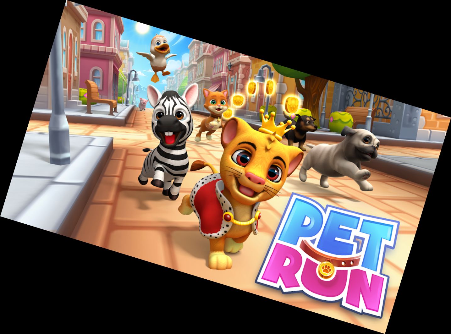 Pet Run - Puppy Dog Game