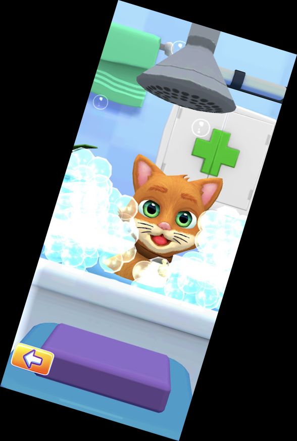 Бег питомца - Игра с