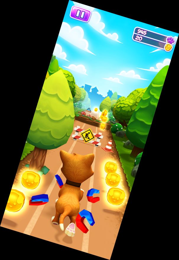 Tier-Laufen - Welpen-Hund