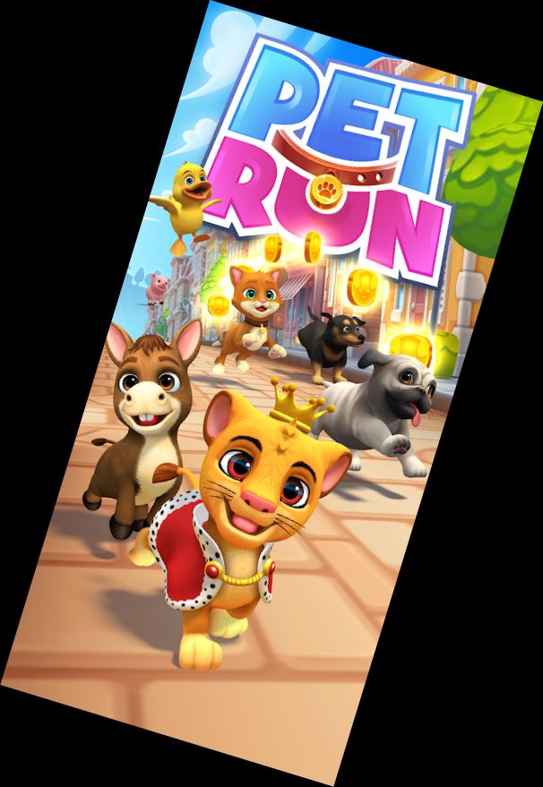 Pet Run - Puppy Dog Game