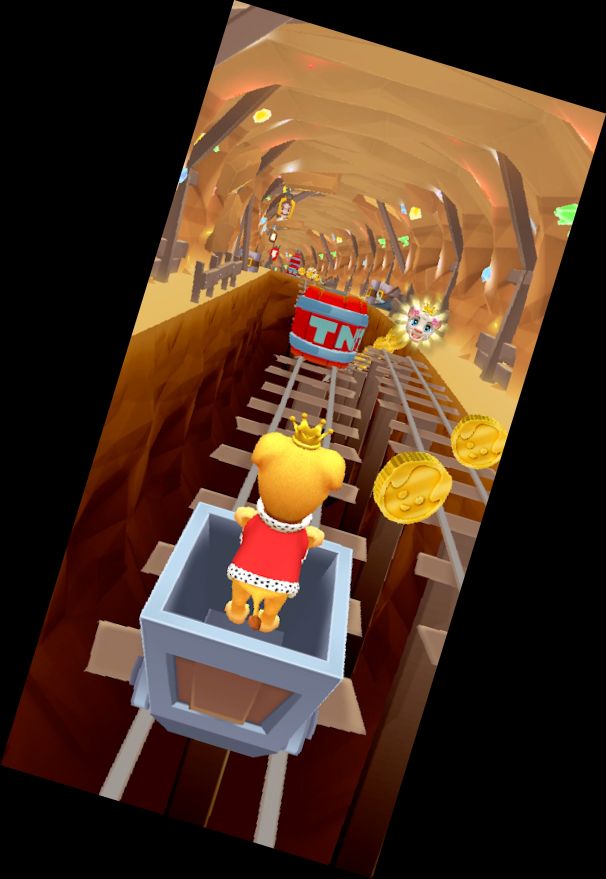 Бег питомца - Игра с