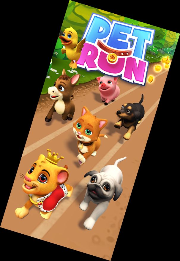 Pet Run - Puppy Dog Game