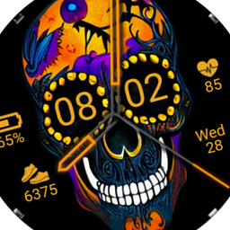 FW100 Digital Watch Face