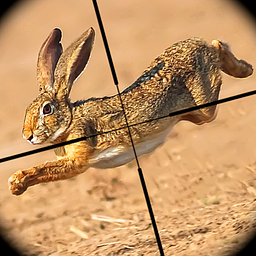 Rabbit Hunter Sniper Shooter