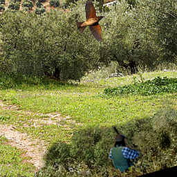 Охота на др