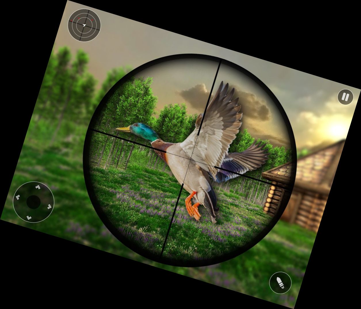 Tropical Wings Hunting Simulator