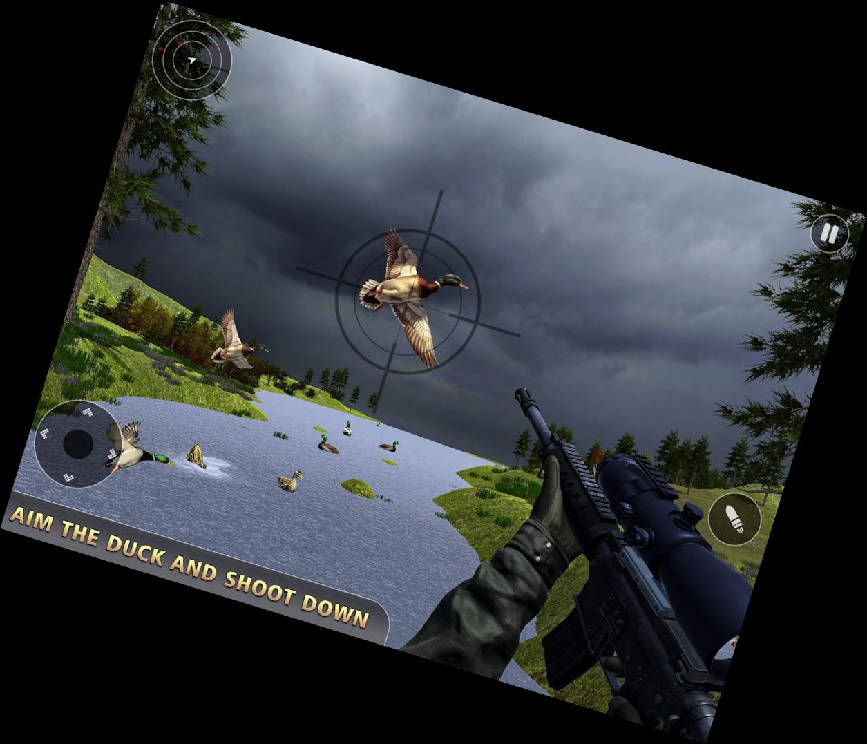 Острівні птахи снайпер стр