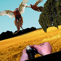 Перепелине о