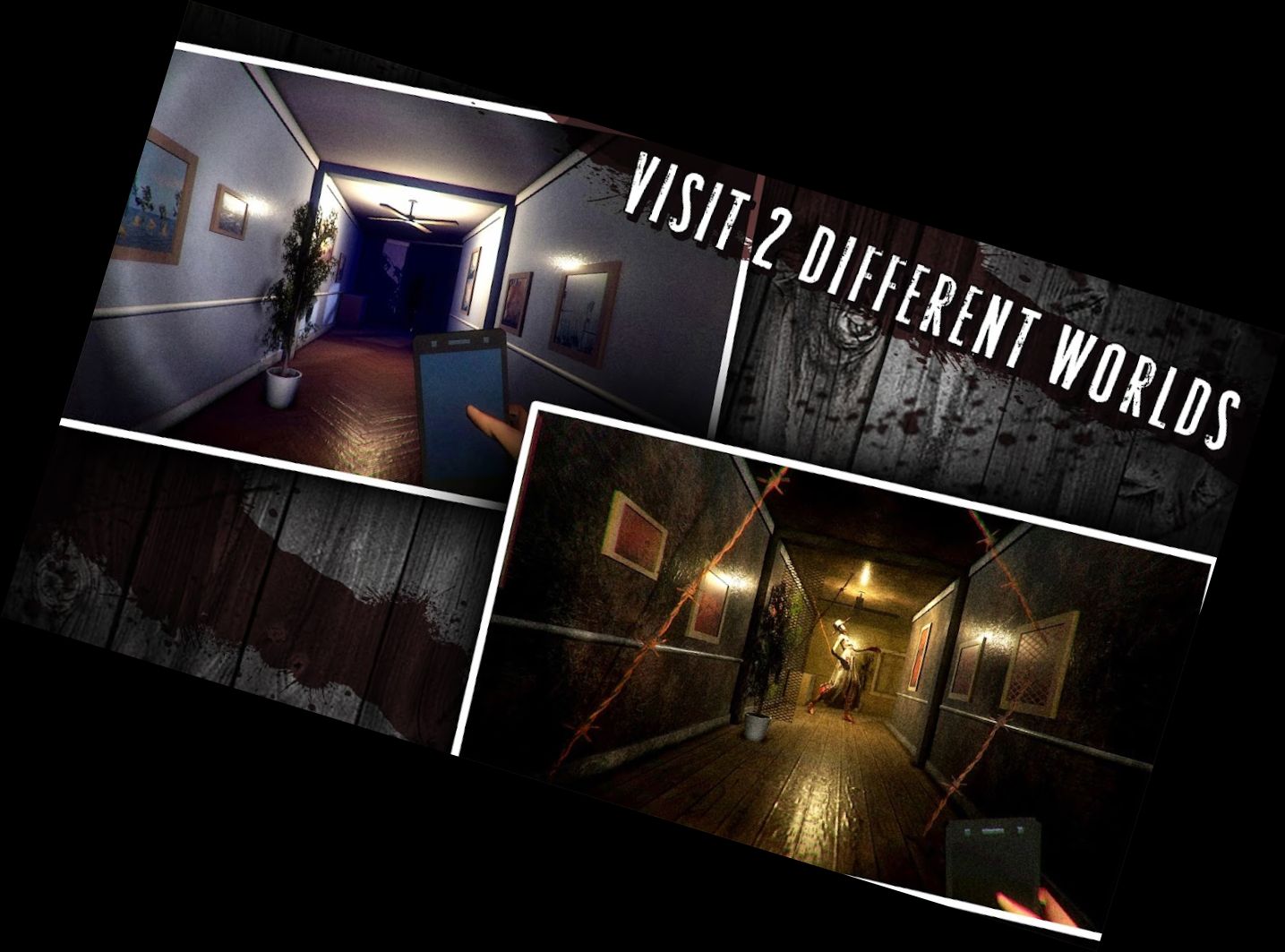 Бабушкино Тихое Обитали