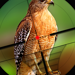 Desafío de Caza de Aves Juego