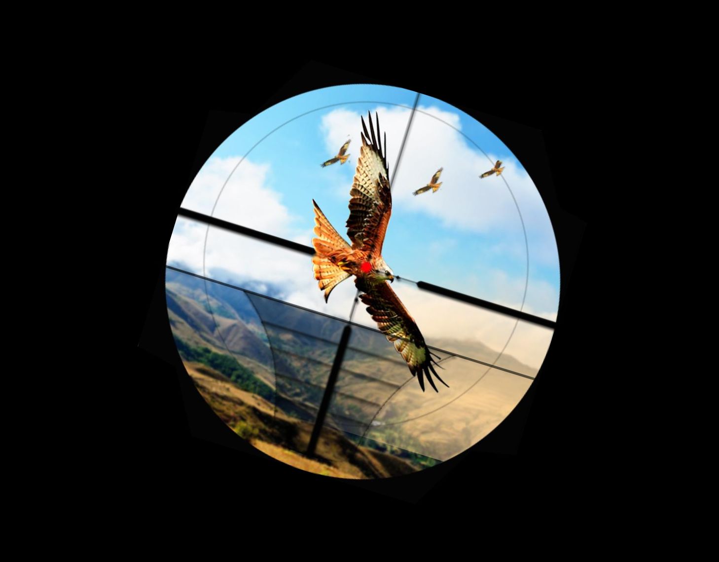 Desafío de Caza de Aves Juego